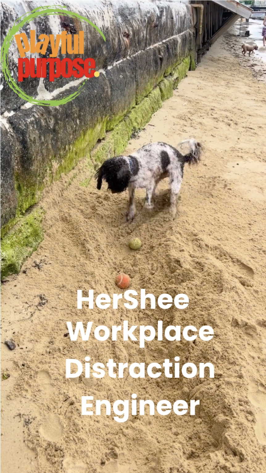 #31 Workplace Distraction Engineer